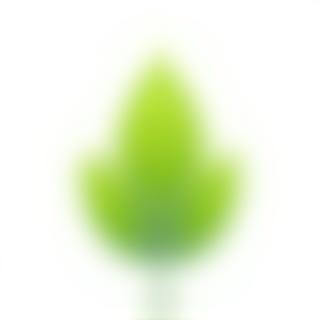 Leaf icon representing sustainability